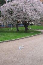 Bookcrossing_2-abril-13_19-143x215.jpg