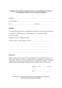 consulta-previa.pdf