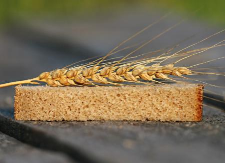 table-wheat-grain-home-village-dish-573583-pxhere.com_.jpg