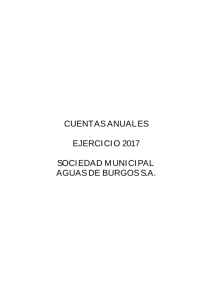 7-cuentas-anuales-2017-aguas_0.pdf