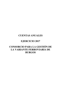 8-cuentas-anuales-2017-cons-desvio-ferrocarril.pdf