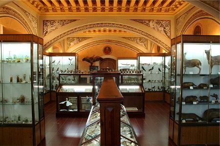 museo-de-historia-natural.jpg.crop_display.jpg