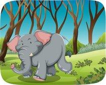 elefante_nino_malo-211x169.jpg