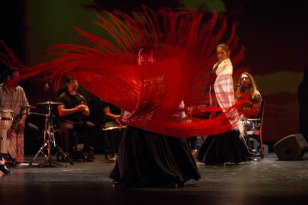 Zarzuela y Flamenco.Compañía Pedro Fernández Embrujo: “Zarzuela & Flamenco”.
