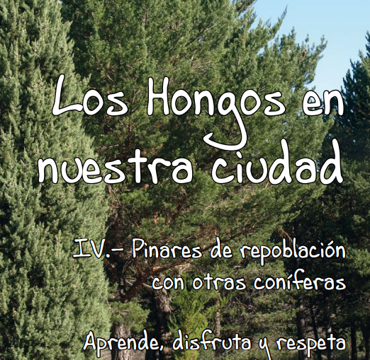Imagen IV Cuaderno de la colección Los Hongos en nuestra ciudad, pinares de repoblación con otras coníferas