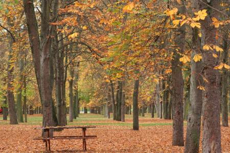 Imagen Parque del Parral