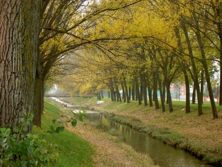 Imagen Paseo lineal del Vena