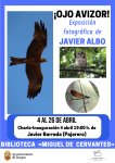 Ojo avizor-Exposición