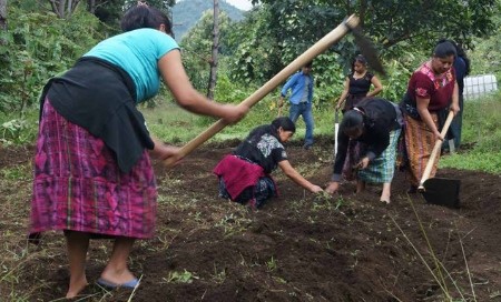 Charla "Contribuyendo a la autonomía integral de las mujeres indígenas campesinas de Guatemala"