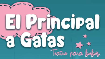 Imagen EL PRINCIPAL A GATAS